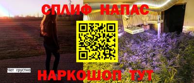 хмурый Донской