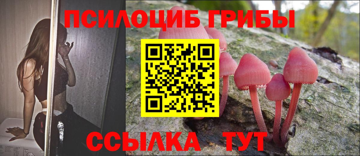 Малоярославец  купить наркотик  Галлюциногенные грибы Cubensis  Вход с VPN  Псилоцибиновые грибы прущие грибы 