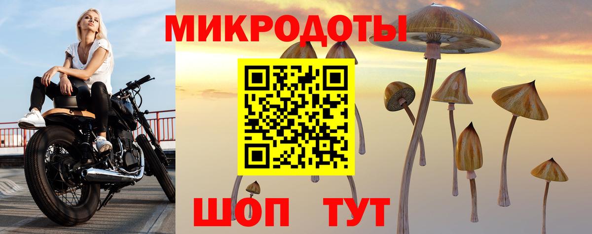 Псилоцибиновые грибы Cubensis Малоярославец